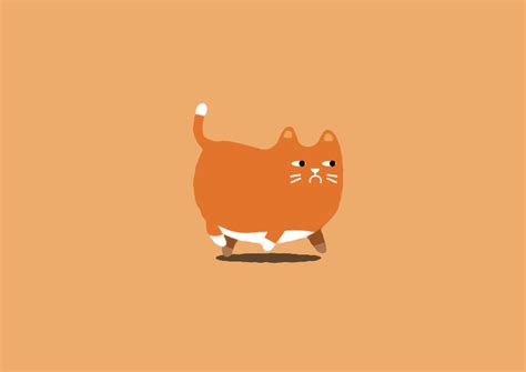 Cat Walk Cycle Animated  On Behance