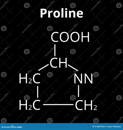 Amino Acid Proline Chemical Molecular Formula Proline Amino Acid Stock Vector Illustration Of