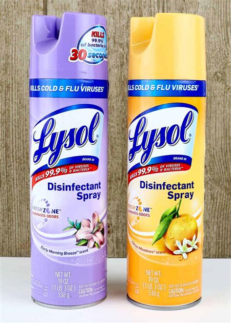 Does Lysol Kill Bed Bugs 6 Better Ways To Get Rid Of Them 🪰 The Buginator