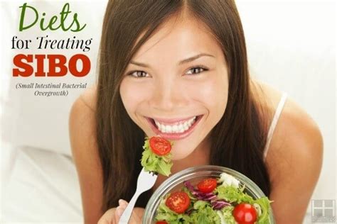 Treating Sibo Part 10 Diet For Sibo Hollywood Homestead