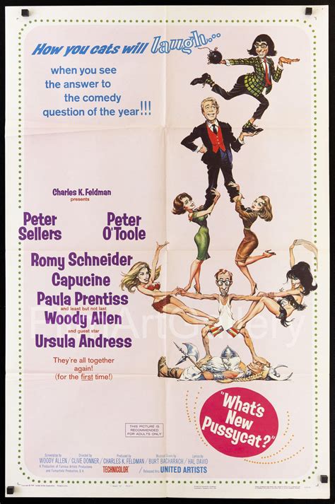 what s new pussycat movie poster 1965 1 sheet 27x41