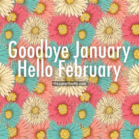 Goodbye January Hello February Colorful Daisy Quote Pictures Photos