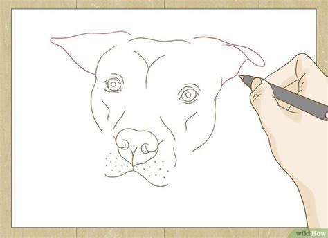 How To Draw A Pitbull Dog Face Drawing Pitbull Art Pitbull Drawing