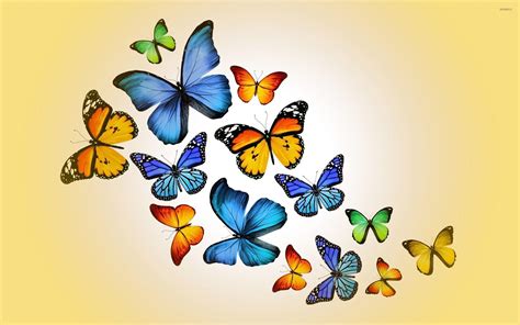 Blue And Pink Butterfly Wallpapers Top Free Blue And Pink Butterfly