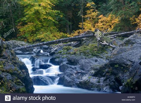 Salmon Cascades Along The Sol Duc River In Fall Olympic National Park