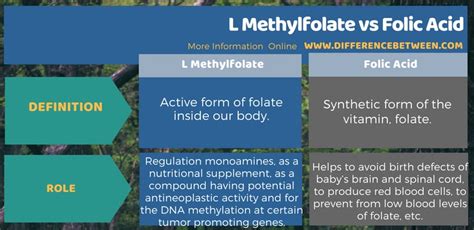 Difference Between L Methylfolate And Folic Acid Compare The