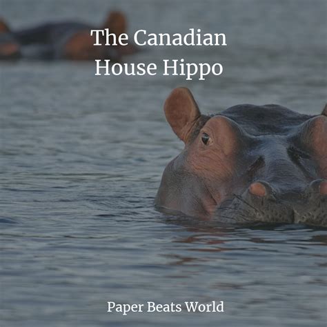 House Hippo What Is Jhousej