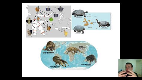Evidence Of Evolution Part 6 Biogeography Microbiology And Field