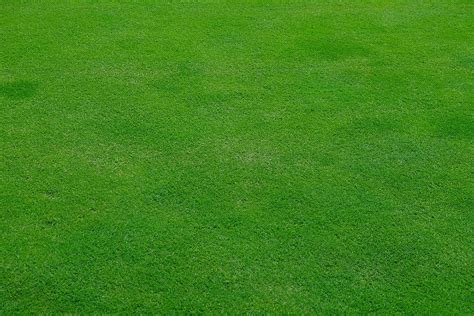 The Concise Guide To Flattening And Leveling Your Garden Lawn Every