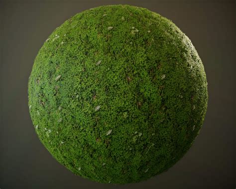 10 Seamless Pbr Grass Textures 3d Texture By Seta