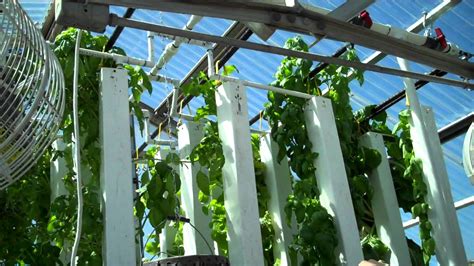 How To Make A Hydroponic Tower What Is The Best Vertical Hydroponic