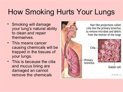 The Negative Effects Of Smoking Cigarettes To Our Lungs