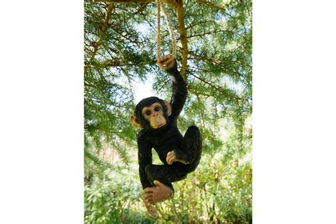 Hanging Garden Monkey B The Loft