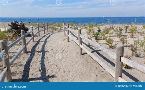 Hanlan S Point Nude Beach View On Toronto Islands Stock Image Image Of Beaches View