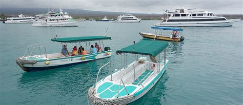 Galapagos Islands Last Minute Cruises What To Know