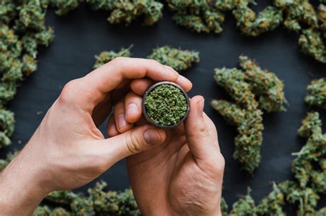 Top High Cbd Cannabis Strains Joy Organics