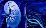 Pictures of Online Kidney Doctor