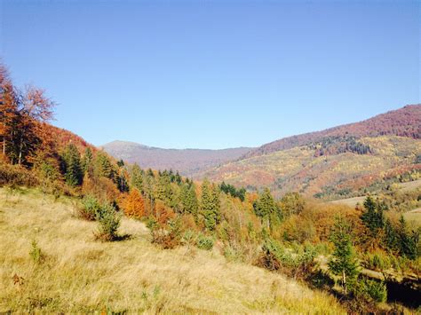 The Carpathians In Fall Ukraine Autumn Beauty Natural Landmarks Nature