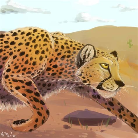 Cheetah By Jubilantarts On Deviantart