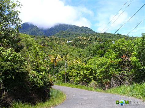 Getting Around Dominica A Virtual Dominica