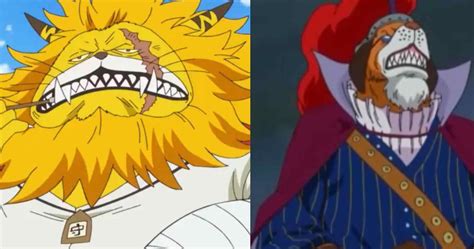 One Piece The 10 Strongest Members Of The Mink Tribe Ranked According