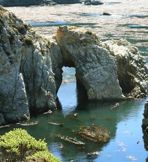 Hike Point Lobos State Reserve In Carmel By The Sea In 2023 Northern