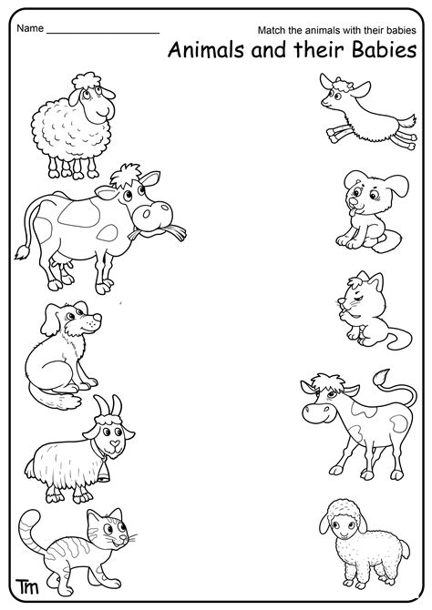 50 Animals With Their Babies Worksheet 