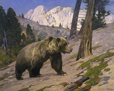 Rocky Mountain Bears