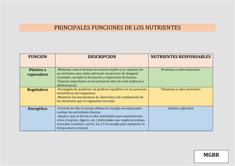 Principales Funciones De Los Nutrientes Principales Funciones De Los