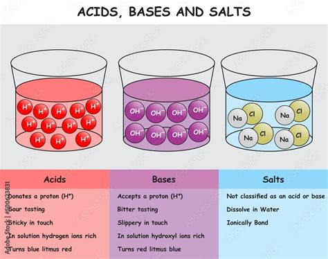 Stockvector Acids Bases And Salts Infographic Diagram Showing Solution