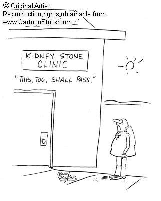 Kidney stones rarely cause permanent damage if treated by a health care professional. A little #KidneyStone humor - "This too shall pass" | Kidney stones funny