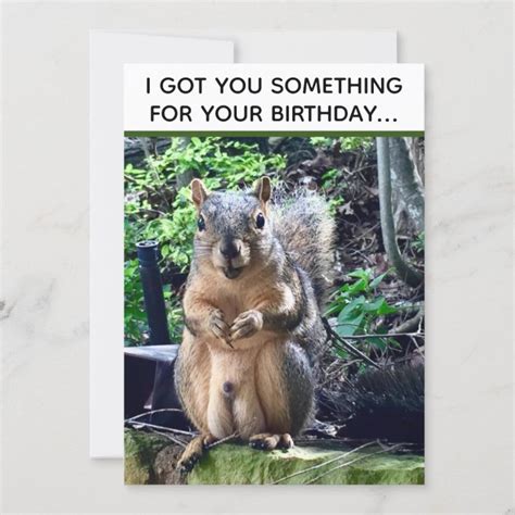 Funny Squirrel Deez Nuts Adult Humor Birthday Card Zazzle