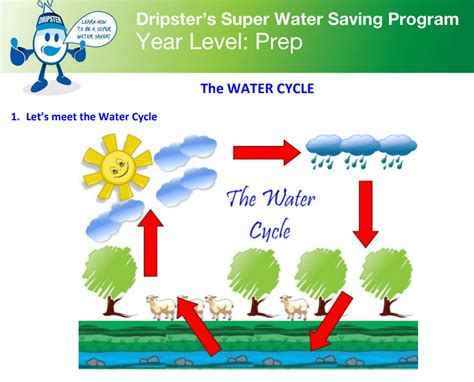The Water Cycle Activity Sheet For Prep Water360