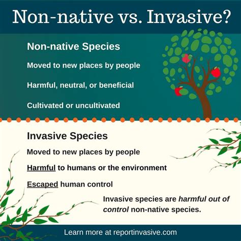 learn about invasive species and find the full sized poster at our site invasive species