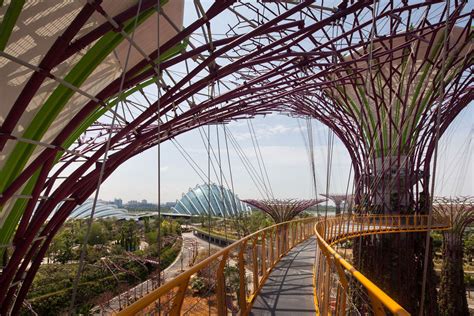 Singapore's location near the equator makes it the perfect location for a lush tropical paradise, and these new gardens in marina bay plan. Spectacular Gardens By The Bay In Singapore | iDesignArch ...