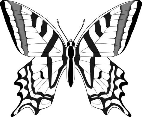 Butterfly Clip Art Black And White Clipart Best