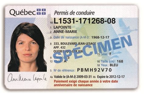 The Dutch Driving License For Expats All You Have To Know Theory