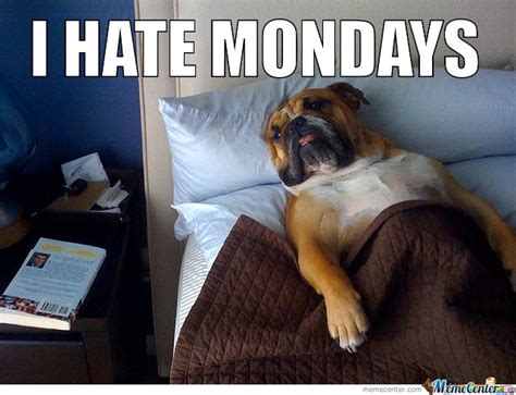 Best Funny Monday Memes We Hate Monday