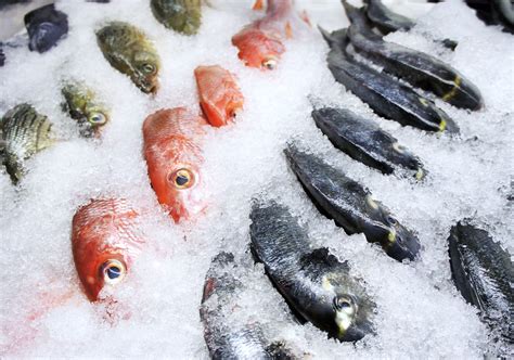 Instructions On How To Freeze Fish To Prevent Freezer Burn Or Spoilage