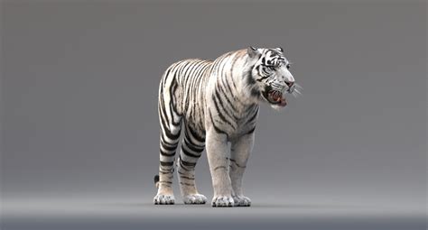 3d White Tiger Animated Fur — Missset