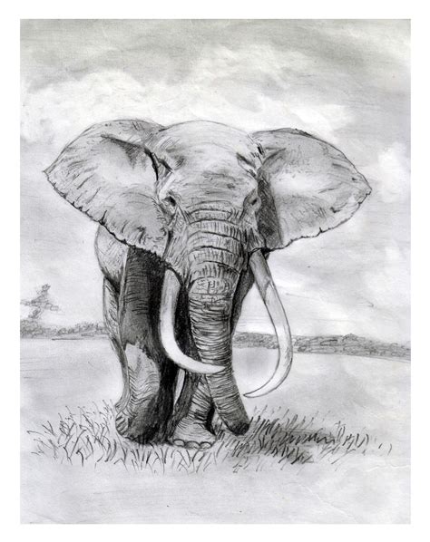 African Elephant By Sylvanlobo On Deviantart