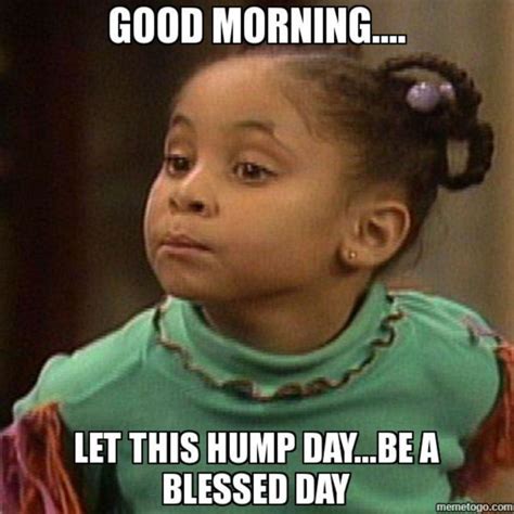 Let This Hump Day Be A Blessed Day Funny Hump Day Memes Funny Good Morning Memes Good Morning