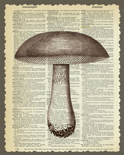 Mushroom Mixed Media By Erin Clark Fine Art America
