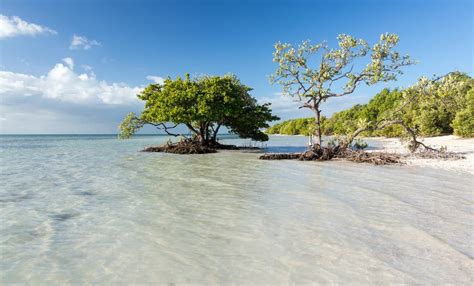 15 Best Things To Do In Islamorada Fl The Crazy Tourist
