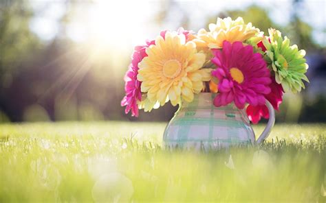 44 Spring Wallpapers ·① Download Free Hd Wallpapers For Desktop And