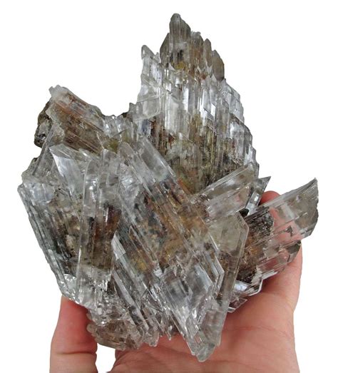 Gypsum Var. Selenite - HECK-123 - Level 9 - Mexico Mineral Specimen