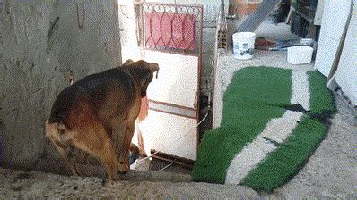 Wenn es im haus einen separaten raum gibt, ist es nicht sehr aufwendig, daraus ein arbeitszimmer zu machen. Endlich zu Hause :) | Lustige Bilder, Sprüche, Witze, echt ...