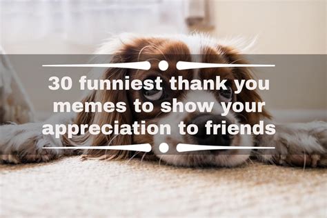 30 funniest thank you memes to show your appreciation to friends ke