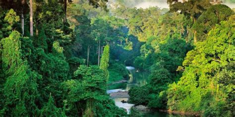 5 Parcs Nationaux Du Costa Rica à Ne Pas Manquer Arawak Experience
