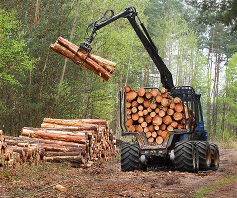 Best Timber Harvest Stock Photos Pictures And Royalty Free Images Istock